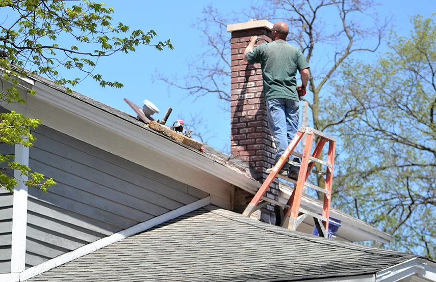 Chimney & Fireplace Inspections Services in Palisades Park, NJ